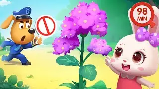 Don't Touch Wild Plants | Outdoor Safety Tips | Kids Cartoon | Play Safe | Sheriff Labrador