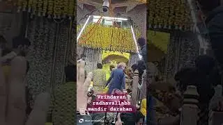 #viral #trending #shorts Vrindavan radha vallabh darshan