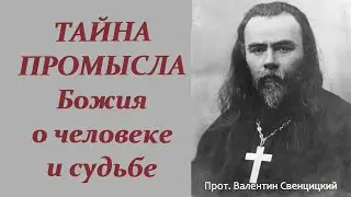 Жаль что не знал этого раньше...Волнующие вопросы о Промысле Божием. Это интересно