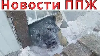 Дезинфекция...  Новости от Жени!