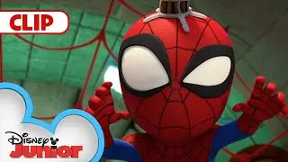 The Wozzlesnook  | Marvel's Spidey and his Amazing Friends | @disneyjunior