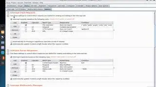 Burp Suite 2: Configuring Intercept Feature