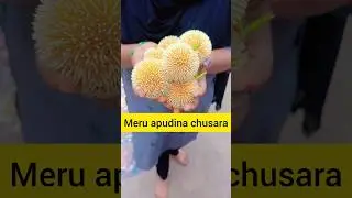 meku e flower name telusa #minivlog #shorts #viralvideo #devotional #nani #kakinadalovebirds #temple