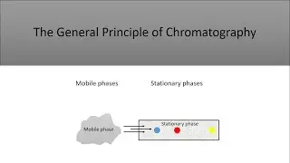 The Basic Principle of Chromatography and the Different Types of Chromatography