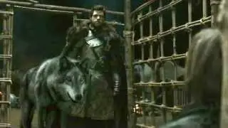 Game of Thrones 2x01 Direwolf Scene