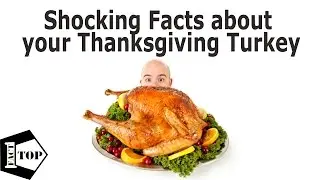 10 Shocking Sad Facts About Your Thanksgiving Turkey