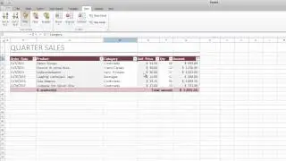 DevExpress WinForms Spreadsheet: Data Filtering