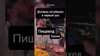 Трахея 😮