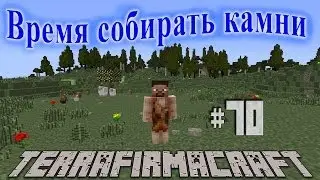 TerraFirmaCraft - Время собирать камни | #70 - Синяя сталь.