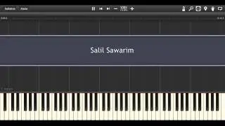 Salil Sawarim (MEME Song) [Piano-Synthesia]