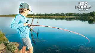 Fishing The BEST Pond I've Ever Seen?? (100 Ponds Ep. 47)