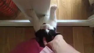 What are you doing, Amy?