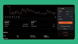 Dividends or Premiums Which is Better for a Small Account? | Hedging Against a Market Crash! 8/4/24