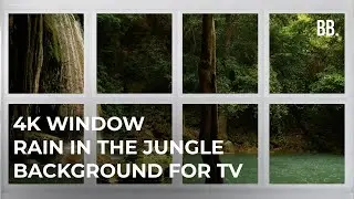 4K Window to Tropical Rain in Jungle | 4K Jungle Rain From The Window | Screensaver for TV, LG, TCL