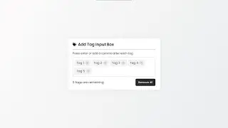 Add Tag Input Box Using HTML, CSS and JavaScript with Source Code