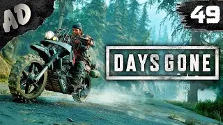 МИНИ ОРДЫ Прохождение Days Gone Жизнь После на Русском #49