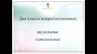 Ботаника. Цветковые. Общая характеристика