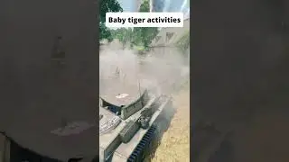 Baby tiger activities | Enlisted