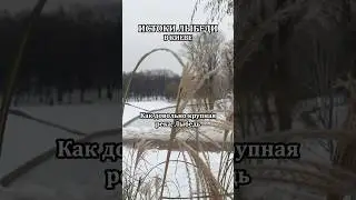 Истоки речки Лыбедь: Отрадный 