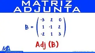 Matriz adjunta