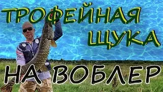 Трофейная щука на воблер .