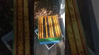 первое мнение о железной гениманке