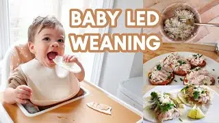 WHAT MY ONE YEAR OLD EATS IN A DAY | Baby Led Weaning Meal Ideas