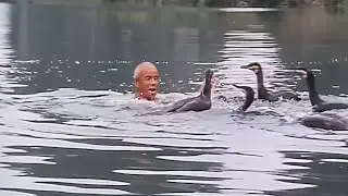 He dances for his cormorants - The Lords of the Animals