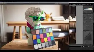 How to Export Edited Photos and Catalog from Adobe Lightroom Classic - Beginning Digital Photography