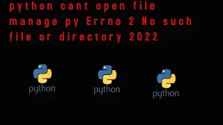 python cant open file manage py Errno 2 No such file or directory