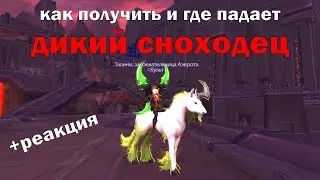 Как получить дикого сноходца + реакция на выпадение