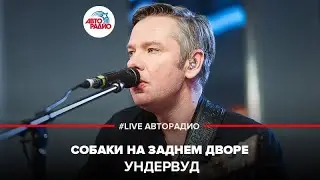 Ундервуд - Собаки На Заднем Дворе (LIVE @ Авторадио)