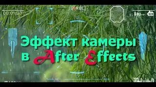 Эффект камеры 2 год