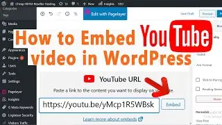 How to Embed a Youtube video in your WordPress post?