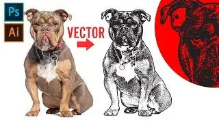 Easy Vectorize Photos Into Graphics Using Photoshop & Illustrator | Image Trace