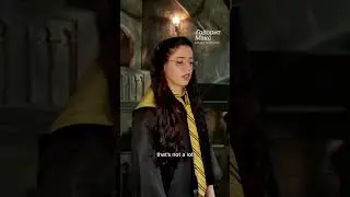 Если бы я попала в Хогвартс - Сильвия - 