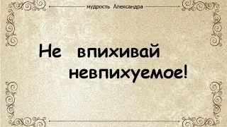 Как впихнуть невпихуемое 😁 ЗИМ/ГАЗ 12 проект МАСТОДОНТ