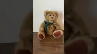 Touch my heart Theodore talking teddy bear