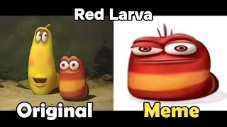 oi oi oi red larva Original VS Meme