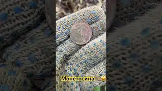 Поиск с металлоискателем!