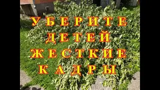 Ликвидируем последствия урагана.Жесткие кадры из эпицентра