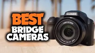 Best Bridge Camera in 2023 - The 5 Best Cameras With A Huge Zoom Lens