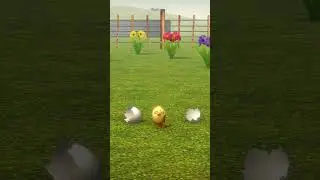 El Pollito Pío bailando en la granja #Shorts