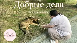 Делай добро - получай тепло