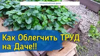 ЛУЧШИЕ ЛАЙФХАКИ  для Дачи. Как облегчить труд на ДАЧЕ!