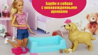 Барби и собака с новорожденными щенками: как они рождаются?