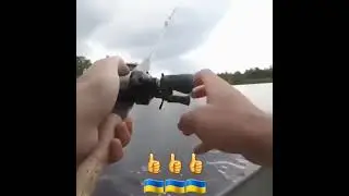 Как лягушка ловит щуку?!   