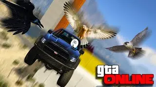 Я ОКАЗАЛСЯ БЫСТРЕЕ ЭТИХ ПТИЦ! ЛАЙТОВЫЙ СКИЛЛТЕСТ НА CARACARA (GTA Online\ГТА Онлайн)