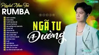 NGÃ TƯ ĐƯỜNG, ĐẠT LONG VINH, NHẠC TRẺ RUMBA THỊNH HÀNH NHẤT 2024" ALBUM RUMBA NHẠC TRẺ CỰC HOT