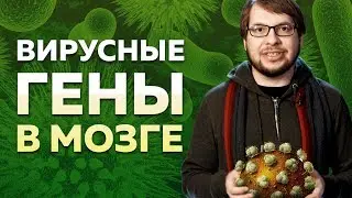 Вирусные гены в мозге